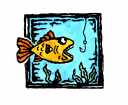 Wie ich zu Fischen kam.....